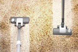 twickenham carpet steam cleaners tw2