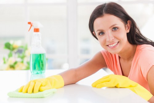 Professional upholstery cleaning for a sofa in Twickenham