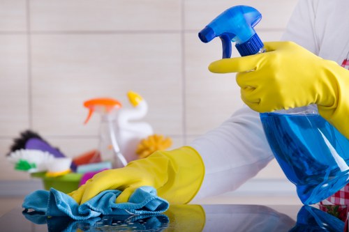 Carpet cleaning service booking terms and conditions document