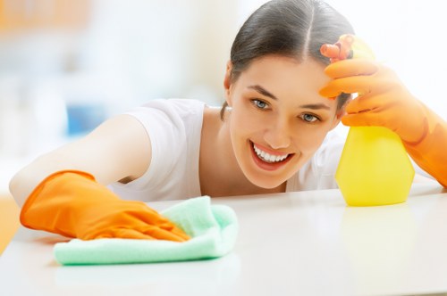 Cleaner maintaining a tidy kitchen and living space in Twickenham