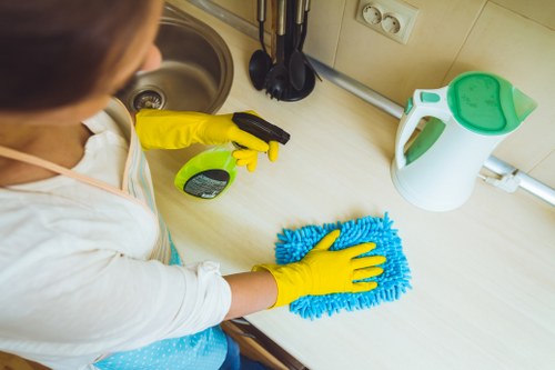 Deep cleaning treatment for pet odour on upholstery in Twickenham