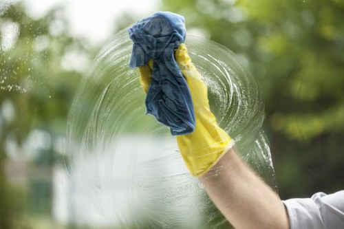 Regular domestic cleaning service for Twickenham residents