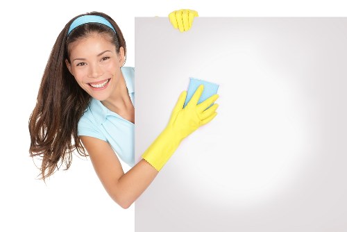Pet odour removal service in a Twickenham family property