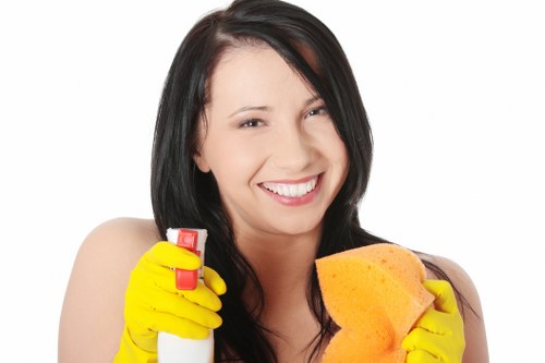 Professional weekly cleaning routine for a Twickenham property